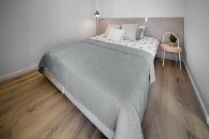 Apartamenty Wyspa Jastarnia Oliwkowy