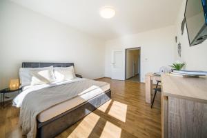 APARTIA Vlhká 26, Brno-center