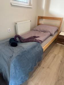 Amethyst Apartman
