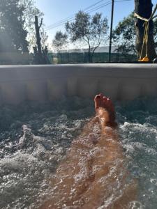 Maisons de vacances STUDIO Havre de paix au pont du gard Piscine et Jacuzzi chez Valerie Payre : photos des chambres