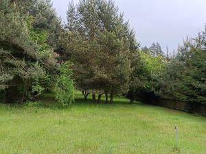 Mazury, Domek pod Lasem