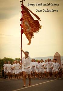 Beatrice Holiday Homes img50