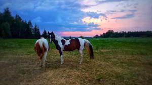 Drängstugan Bärsta 5