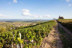 Maisons de vacances La Louviere plein coeur Villie-Morgon Beaujolais degustation possible : Maison 3 Chambres 