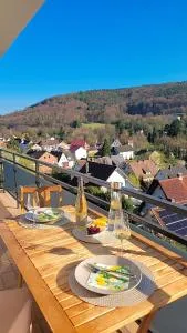 Panoramablick & WeinIdylle - Vineyard Suites - Wörth am Main