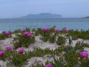 Casa Marina Maria img36