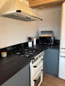 Lumen Wood