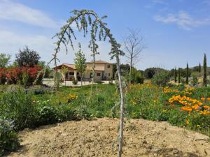 Villas Villa Evajade : photos des chambres