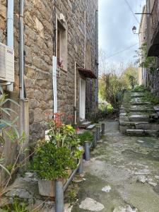 Appartement Sainte Lucie de Tallano,2 personnes au centre du village