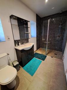 Maisons de vacances Le Moulin du Breil - Maison 10 pers - 24H du Mans : photos des chambres