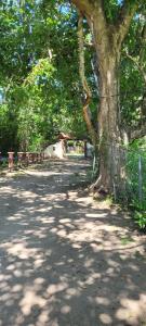 Finca Familiar Rio y SOL