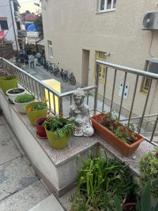 Body and Mind Detox Retreat on Punat, Krk Island, Croatia