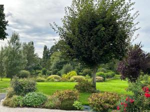 Appartements GITE Au Bord De L-Iton : photos des chambres