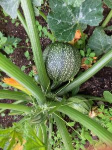 Appartements Solacargese Appartement de charme Vue imprenable Mediterranee : photos des chambres