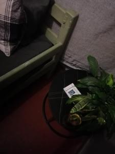 Authentic Yeoville Ghetto Experience