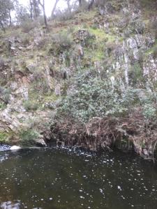 Casa Rural Navalonguilla con piscina