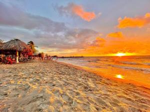 Condominio, Cabaña 202