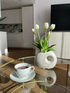 "Cappuccino" Apartament, centrum Ustki, wszędzie blisko