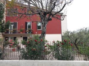 Appartamento Linuccia