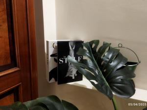 52 - Appartamento bilocale