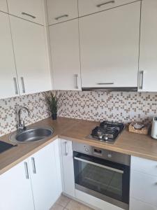 Rinktinės apartments