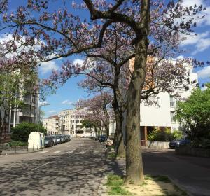Appartements Grand T2 tout confort 48 M2 - Offre cinema canal series, netflix, apple TV, OCS, paramount : photos des chambres