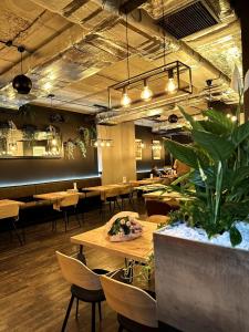 Great Polonia Kraków Kazimierz