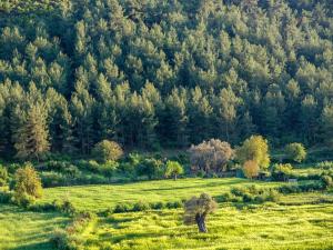 Villa Apsara - Secluded Oasis - Big Pool - Amazing Views