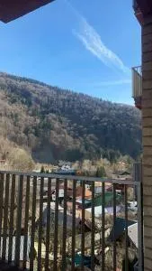 Splendid view Sinaia - Comarnic