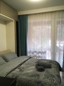 Splendid view Sinaia