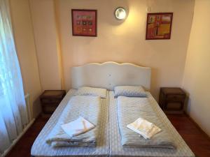 Pensiunea Nóras Garden