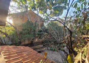 Ecocentro Brasil - Bangalô Panorâmica