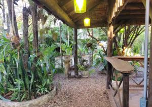 Ecocentro Brasil - Bangalô Panorâmica