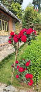 Lamthang Retreat Premium cottage