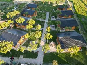 Villa Arda - Kavajë