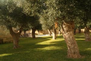 Piazzetta De Summa Scipione, 4, 73100 Lecce LE, Italy.