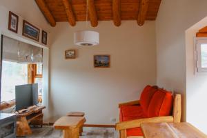 NOTRO 1 Bandurria en la base del cerro Catedral con vistas