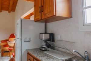 NOTRO 1 Bandurria en la base del cerro Catedral con vistas