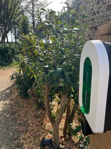 B&B / Chambres d'hotes Reve de Clarte : photos des chambres