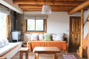 NOTRO 5 Tordo en la base del cerro Catedral con vistas