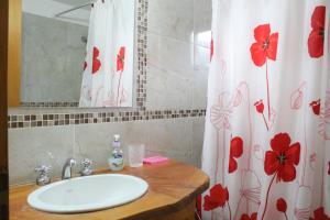 NOTRO 5 Tordo en la base del cerro Catedral con vistas