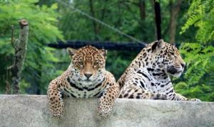 Villas Architect-designed house in Bordeaux : photos des chambres