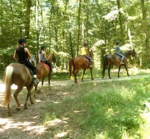 Villas Architect-designed house in Bordeaux : photos des chambres