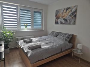 Paradise Under Heaven Apartment