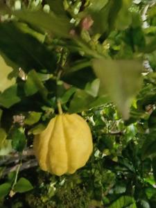 Appartement 3 Chambres