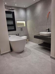 EGMS-CN-2 2BR apartment with fully Nile view