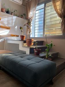 Coco de la Marsa Duplex
