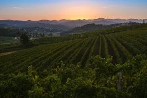 Arianna Suites Longevity - Capriva del Friuli