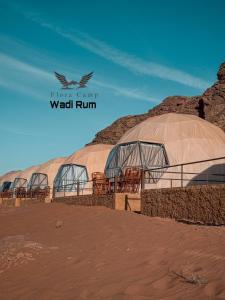 Flora Camp Wadi Rum