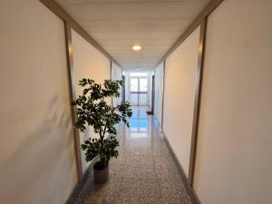 Little Luxury Penthouse